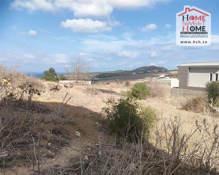 Bizerte Sud&nbsp;Ain El Berda&nbsp;Terrain&nbsp;Terrain nu&nbsp;Terrain villa elora � a�n berda bizerte