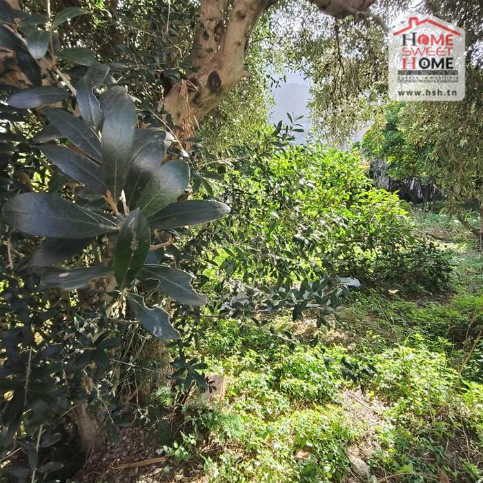 Bizerte Nord&nbsp;Bizerte&nbsp;Terrain&nbsp;Terrain nu&nbsp;Terrain villa altia � corniche bizerte