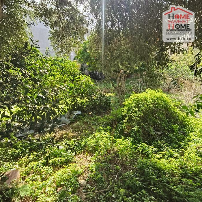 Bizerte Nord&nbsp;Bizerte&nbsp;Terrain&nbsp;Terrain nu&nbsp;Terrain villa altia � corniche bizerte