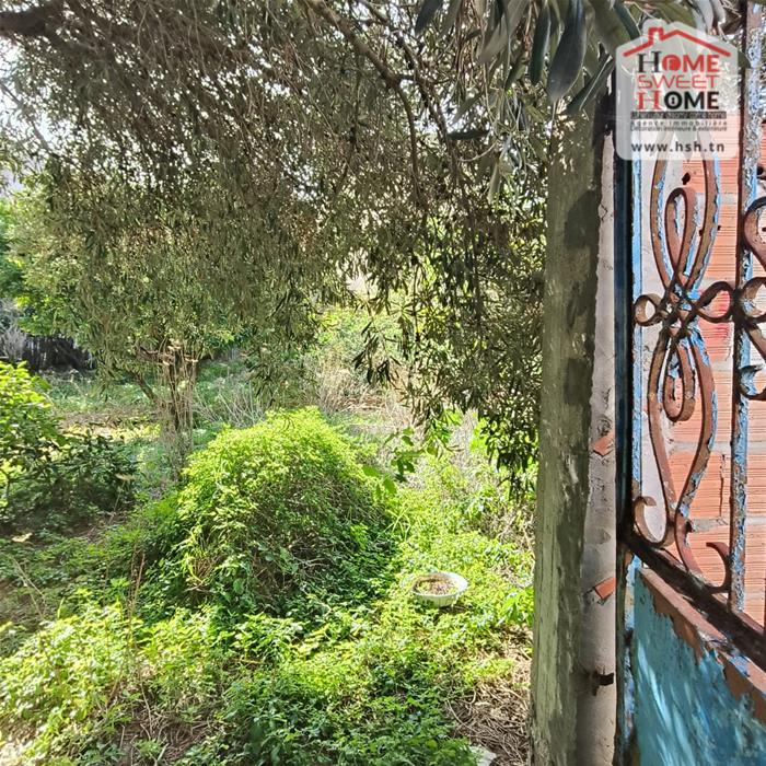 Bizerte Nord&nbsp;Bizerte&nbsp;Terrain&nbsp;Terrain nu&nbsp;Terrain villa altia � corniche bizerte