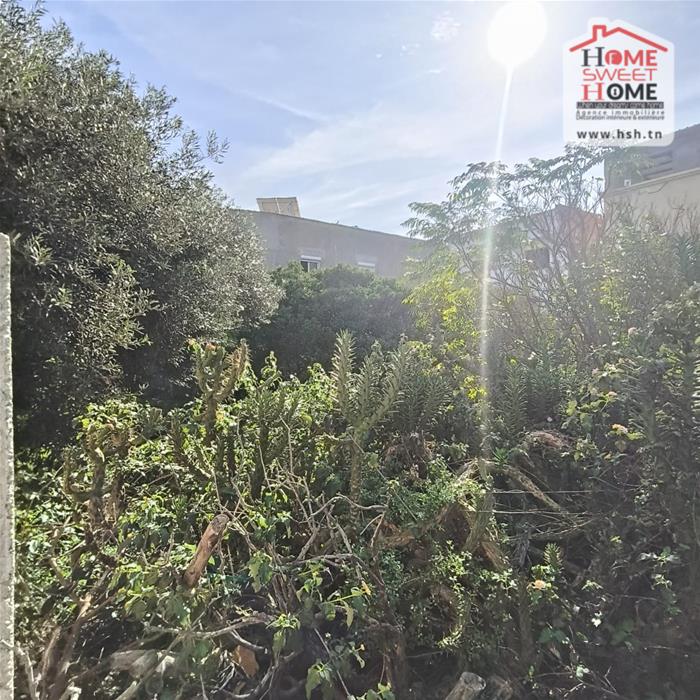 Bizerte Nord&nbsp;Bizerte&nbsp;Terrain&nbsp;Terrain nu&nbsp;Terrain villa altia � corniche bizerte