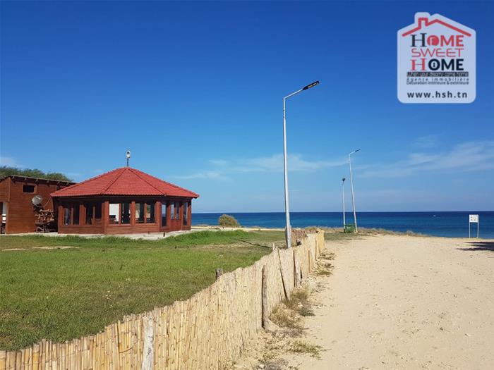 Terrain&nbsp;Terrain nu