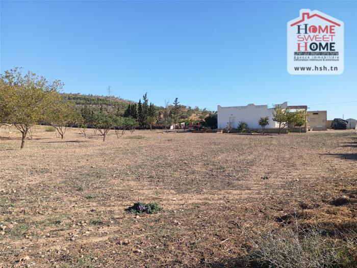 Terrain&nbsp;Terrain agricole