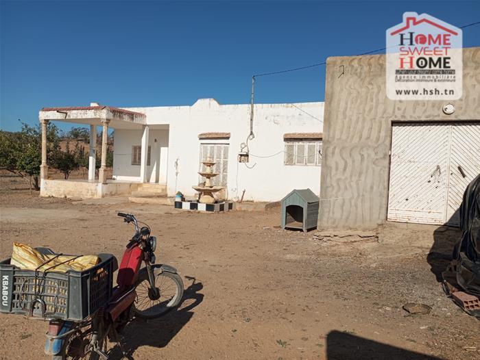 Mejez El Bab&nbsp;Mejez El Bab&nbsp;Terrain&nbsp;Terrain agricole&nbsp;Terrain agricole agrisol � mjez el beb