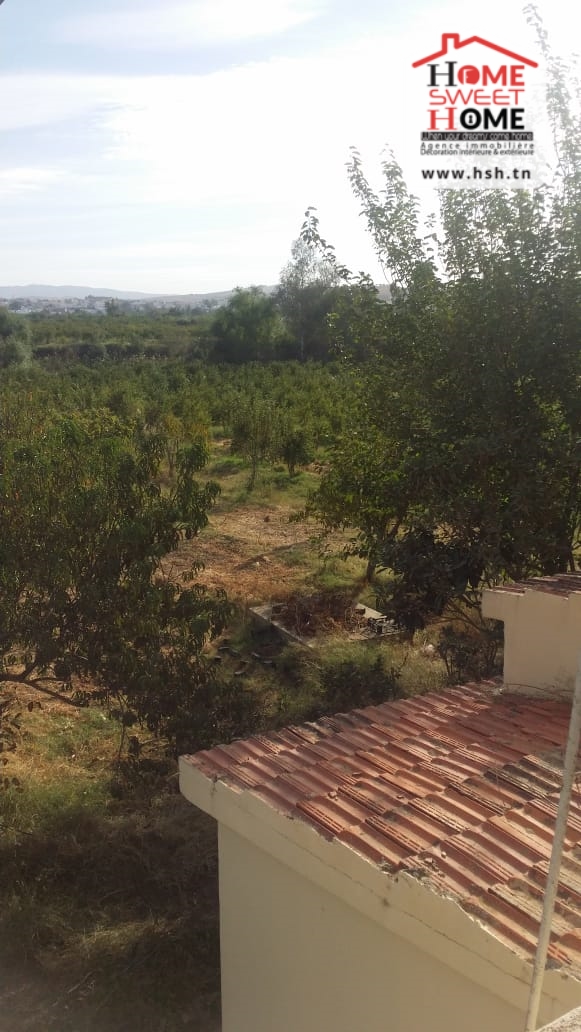 Terrain Terrain agricole