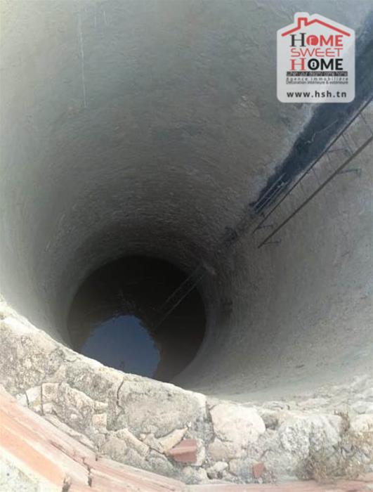 Terrain Terrain agricole