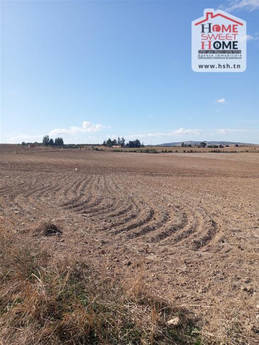 Mejez El Bab&nbsp;Mejez El Bab&nbsp;Terrain&nbsp;Terrain agricole&nbsp;Terrain agricole solia � mjez el beb