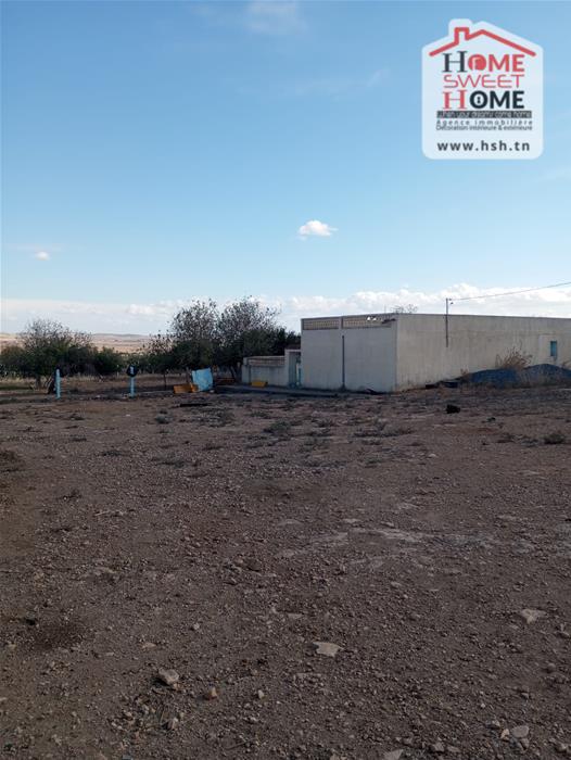 Mejez El Bab&nbsp;Mejez El Bab&nbsp;Terrain&nbsp;Terrain agricole&nbsp;Terrain agricole solia � mjez el beb