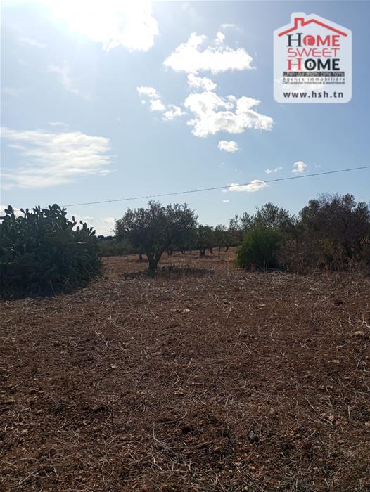 Terrain&nbsp;Terrain agricole