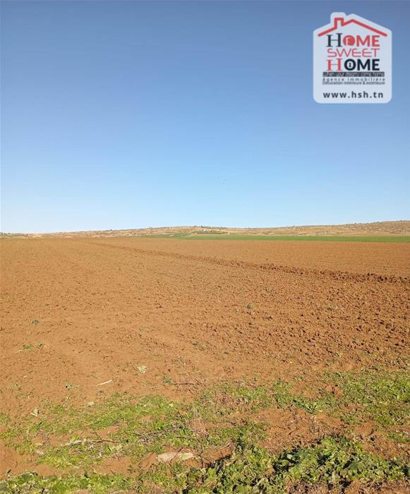 Mejez El Bab&nbsp;Mejez El Bab&nbsp;Terrain&nbsp;Terrain agricole&nbsp;Terrain agricole fertilia � mjez el beb