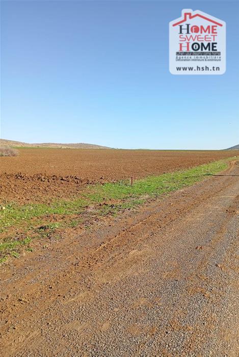 Mejez El Bab&nbsp;Mejez El Bab&nbsp;Terrain&nbsp;Terrain agricole&nbsp;Terrain agricole fertilia � mjez el beb