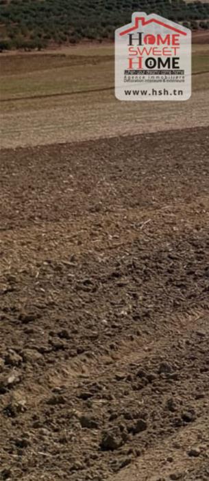 Mejez El Bab&nbsp;Mejez El Bab&nbsp;Terrain&nbsp;Terrain agricole&nbsp;Terrain agricole fertilia � mjez el beb