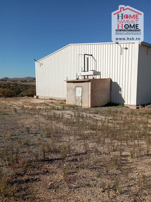 Testour Testour Terrain Terrain nu Dpt frigorifique cultiva  testour