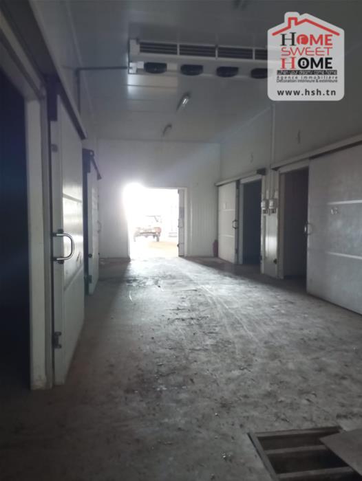 Testour Testour Terrain Terrain nu Dpt frigorifique cultiva  testour