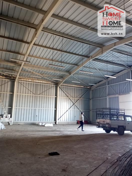 Testour Testour Terrain Terrain nu Dpt frigorifique cultiva  testour