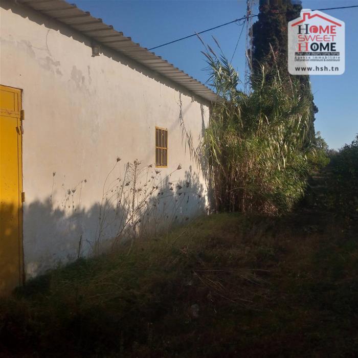 Menzel Bouzelfa Menzel Bouzelfa Terrain Terrain agricole Terrain agricole oraniva  menzel bouzelfa