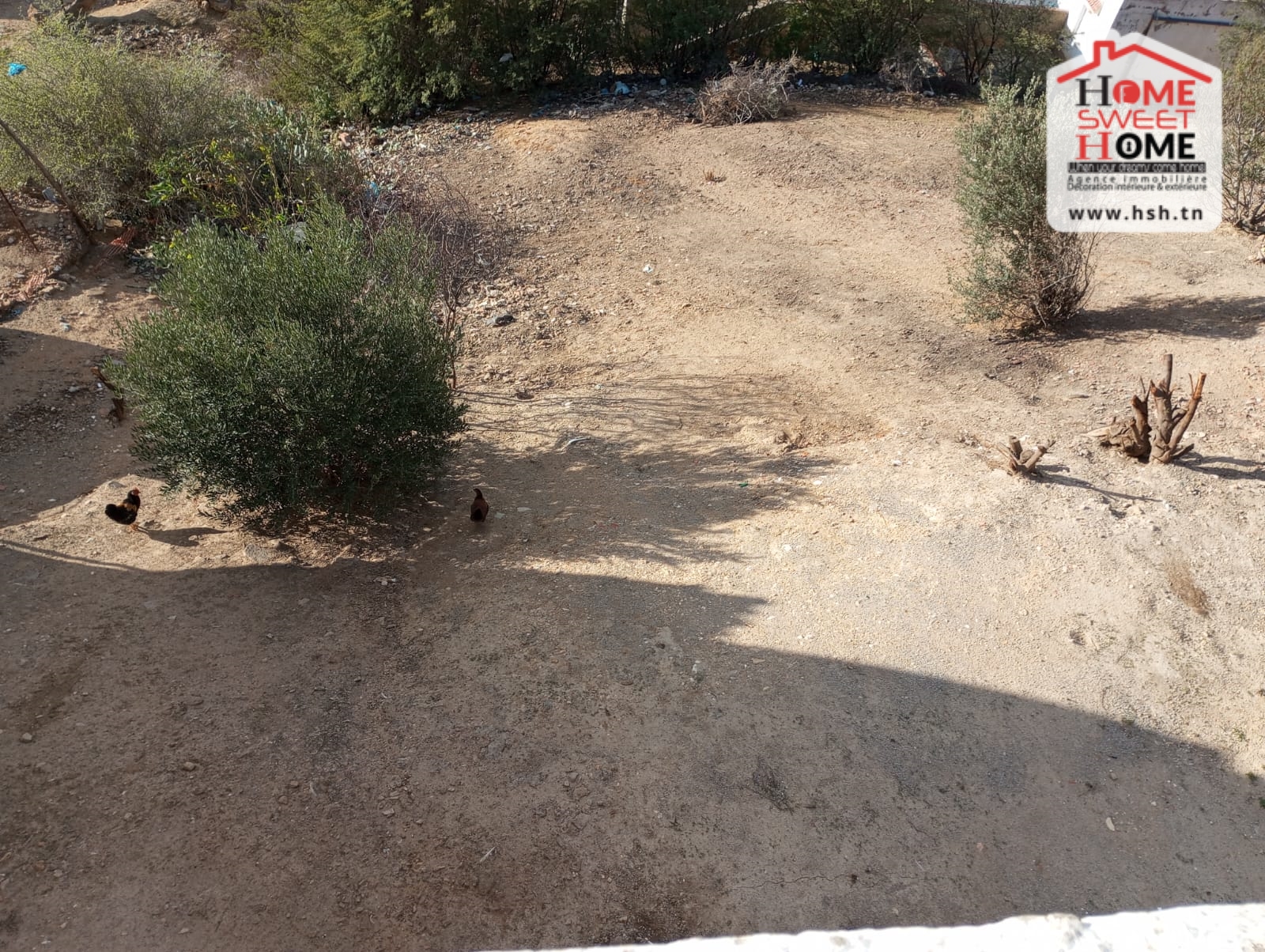 Mejez El Bab&nbsp;Mejez El Bab&nbsp;Vente&nbsp;Appart. 5 pi�ces+&nbsp;Immeuble shoek � mjez el bab