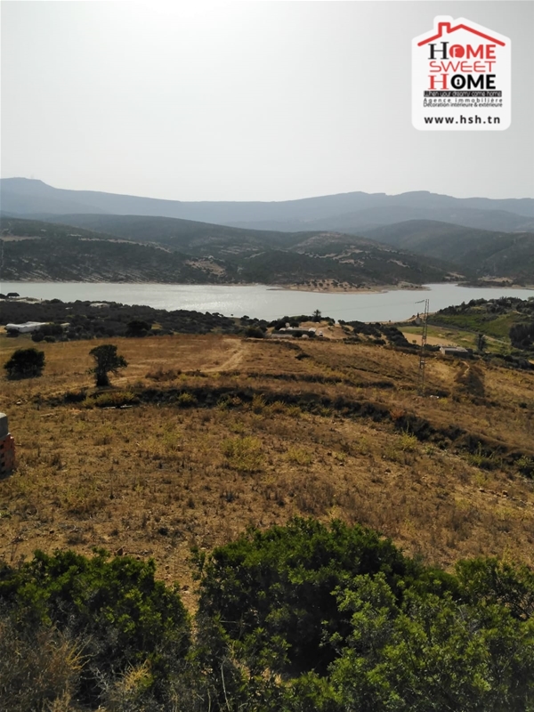 Takelsa&nbsp;Takelsa&nbsp;Terrain&nbsp;Terrain agricole&nbsp;Terrain agricole chouour � takelsa