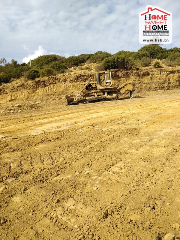 Takelsa&nbsp;Takelsa&nbsp;Terrain&nbsp;Terrain agricole&nbsp;Terrain agricole chouour � takelsa