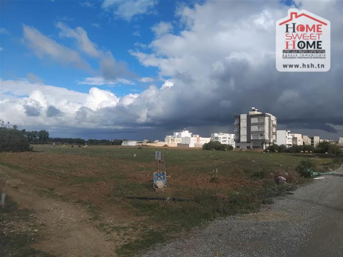 Terrain&nbsp;Terrain nu