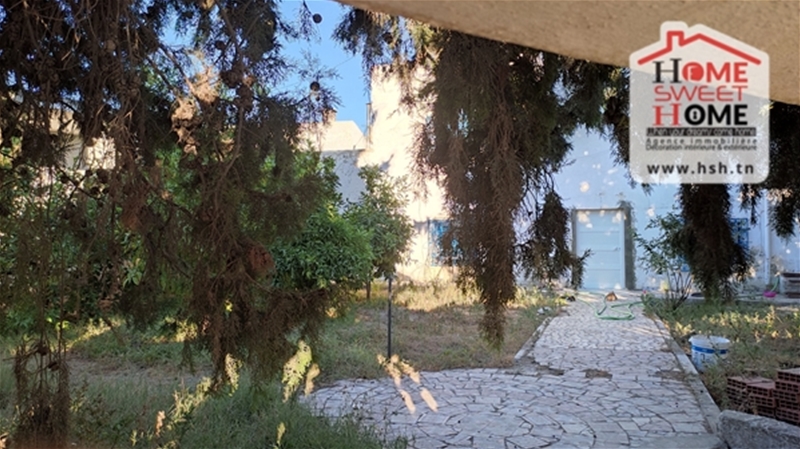 Carthage Cartage Byrsa Terrain Terrain nu Terrain frida a carthage byrsa