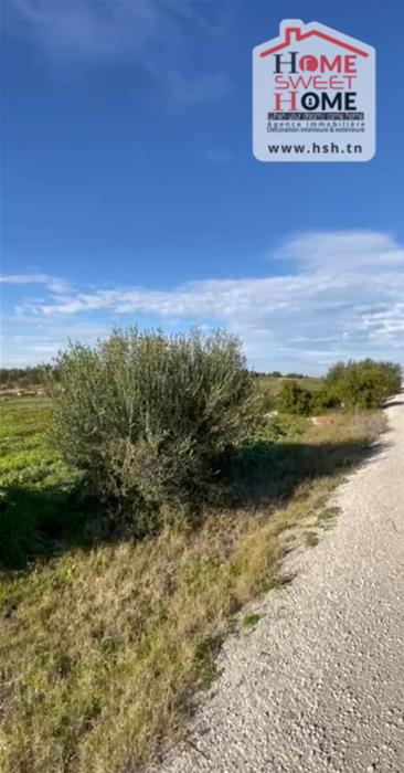 Hammamet Hammamet Terrain Terrain agricole Terrain agricole tara  hammamet