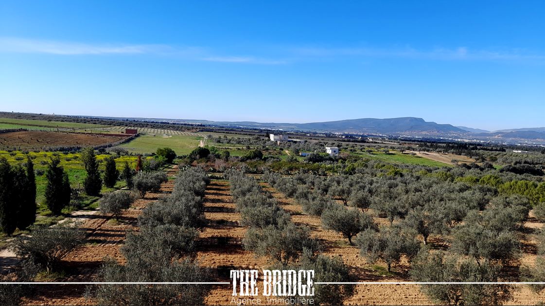 Terrain Terrain agricole