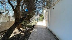 Ariana Ville El Menzah 5 Vente Maisons Villa plain pied de 600m2   menzah 5