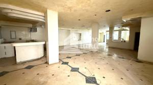 Raoued Cite El Ghazala 1 Location Appart. 1 pice Local commercial de 250m2  cit