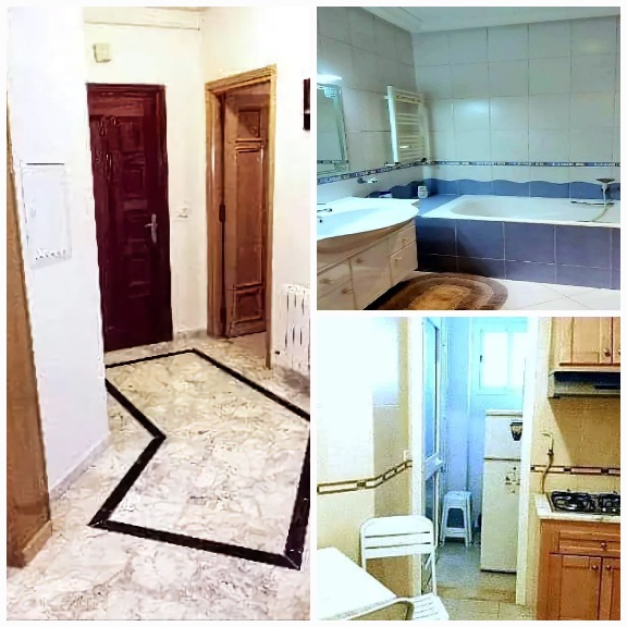 El Menzah El Menzah 9 Location Appart. 2 pices Propritaire l s1 meubl ht standing