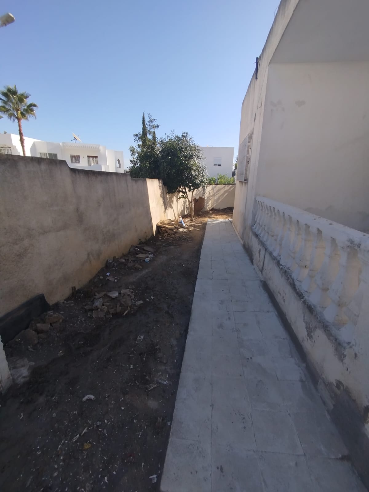 El Menzah El Menzah 9 Location Maisons Une villa plainpied  menzah9b