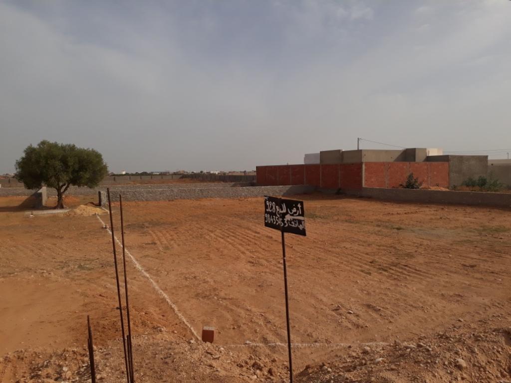 Sfax Ville&nbsp;Ain El Mayel&nbsp;Terrain&nbsp;Terrain nu&nbsp;Terrain 928 m2 � rt gremda km11 rocade sfax