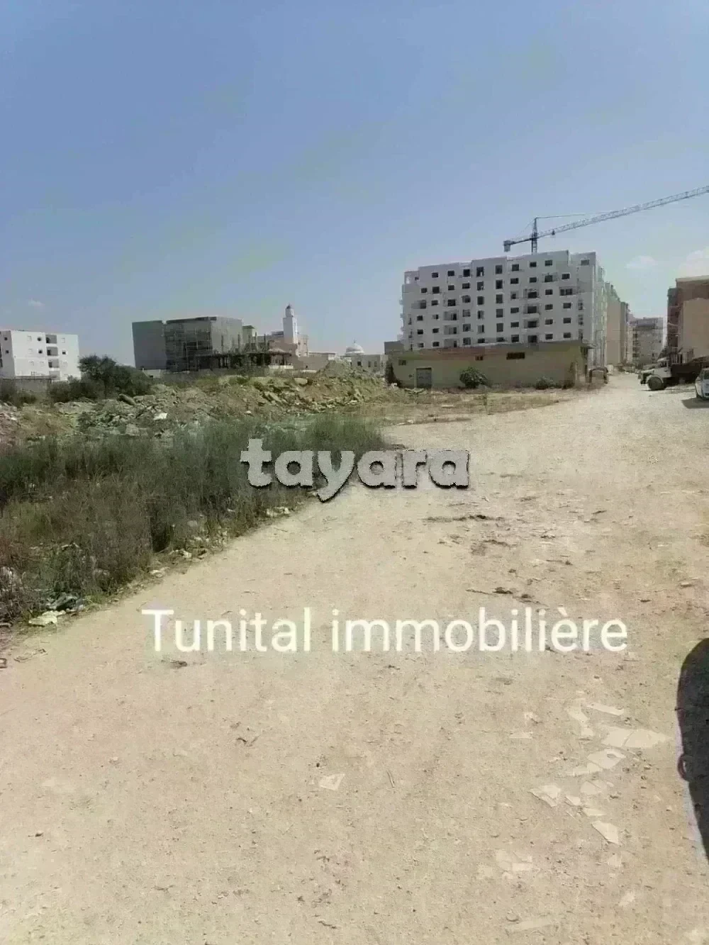 Terrain&nbsp;Terrain nu