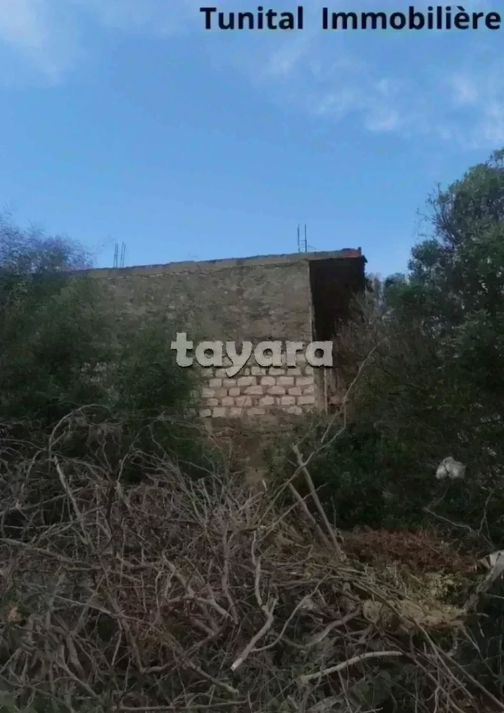 La Marsa&nbsp;Gammart&nbsp;Terrain&nbsp;Terrain nu&nbsp;Terrain � gammarth sup�rieur