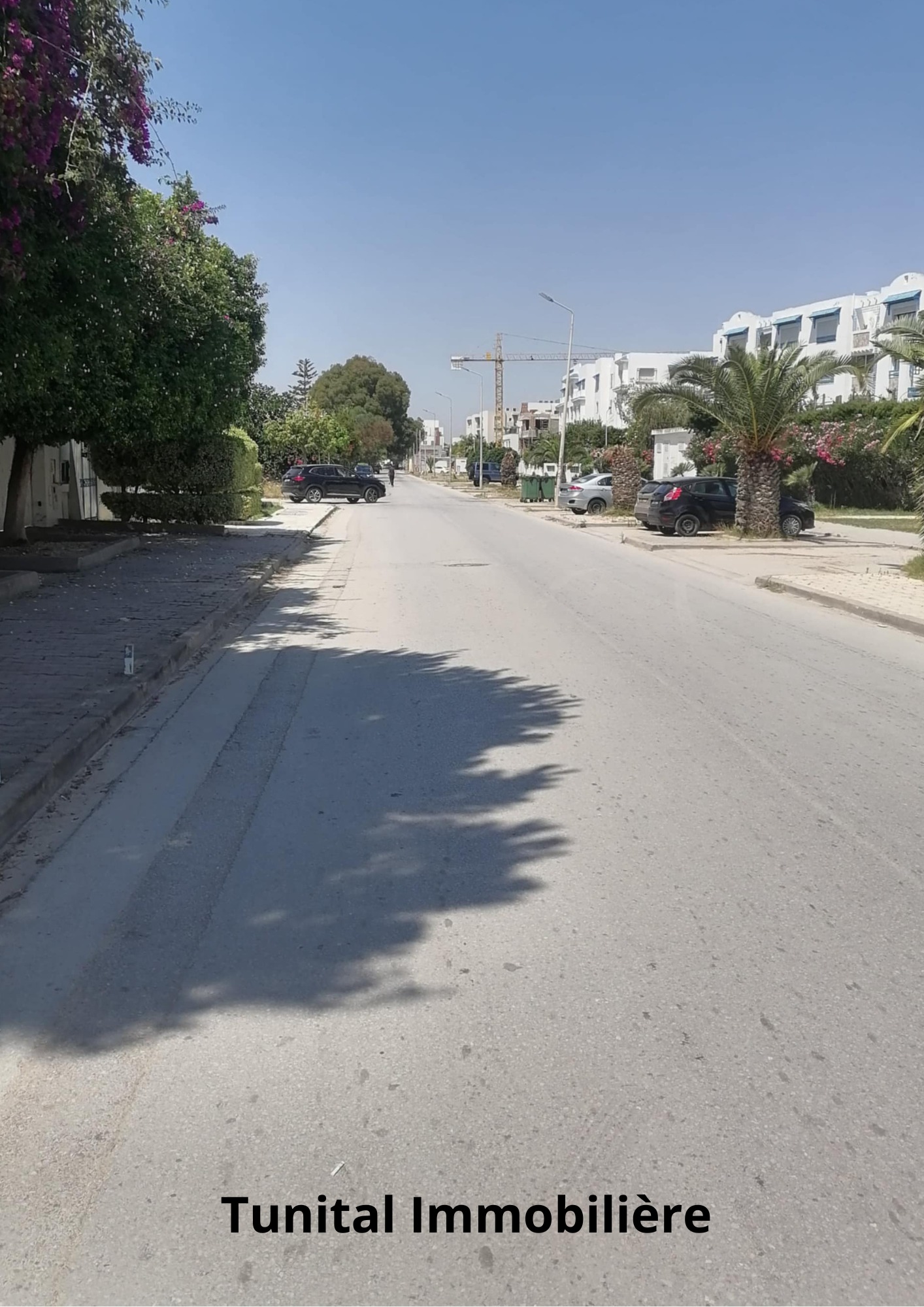 La Marsa&nbsp;Sidi Daoud&nbsp;Location&nbsp;Maisons&nbsp;Villa � usage bureautique