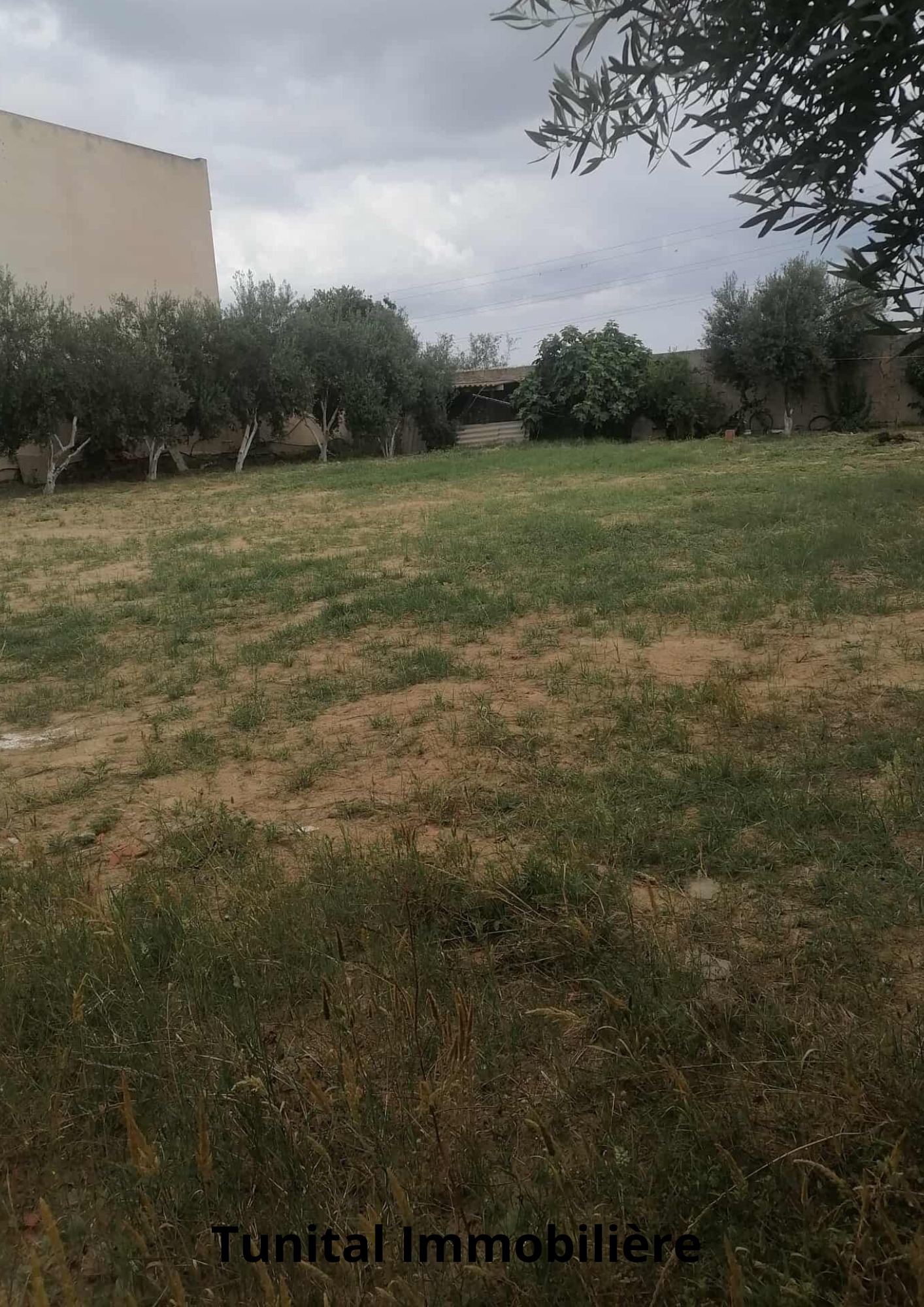 La Soukra&nbsp;Chotrana 3&nbsp;Terrain&nbsp;Terrain nu&nbsp;Terrain coltur� r plus deux