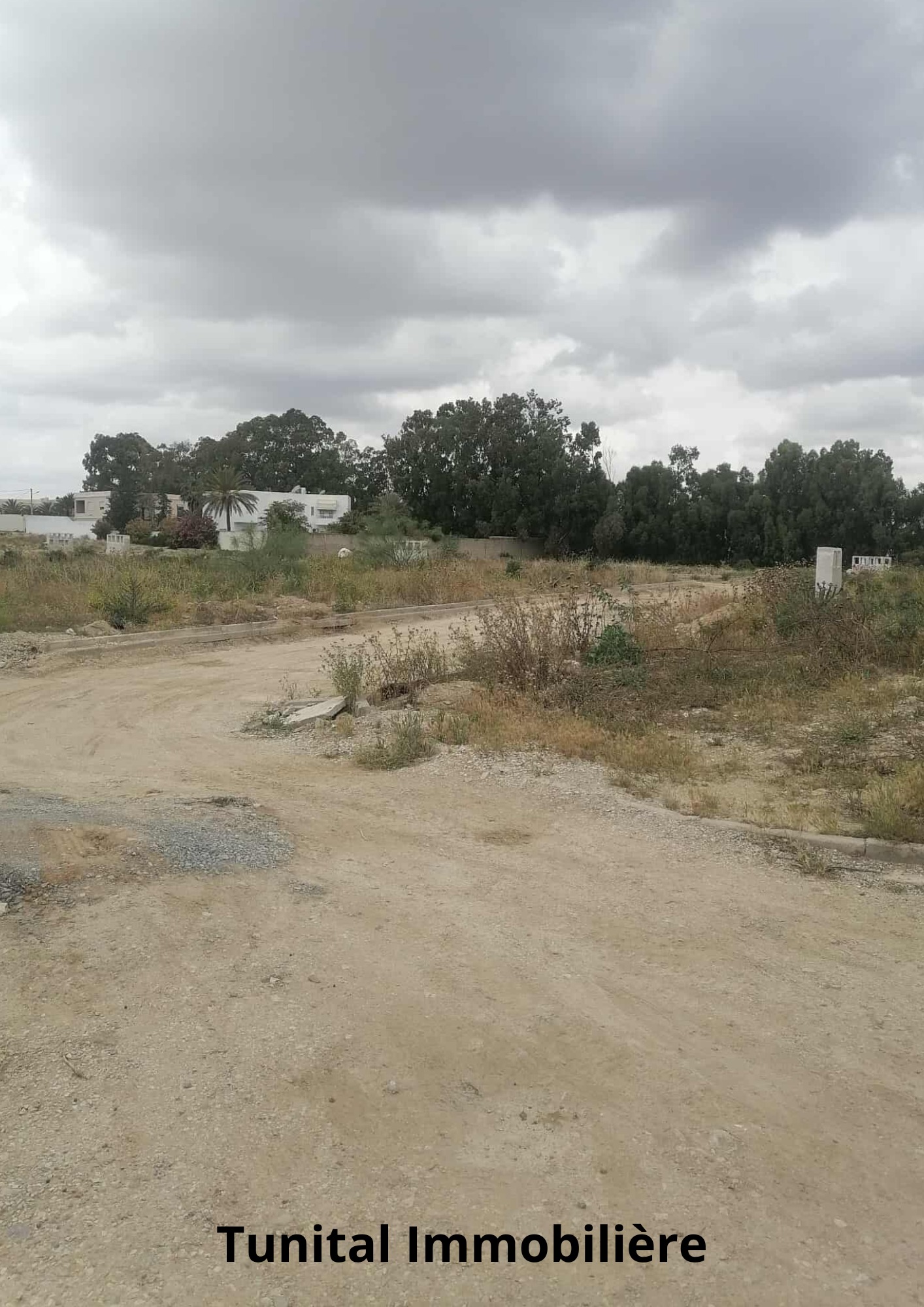 La Soukra&nbsp;Chotrana 3&nbsp;Terrain&nbsp;Terrain nu&nbsp;Terrain coltur� r plus deux