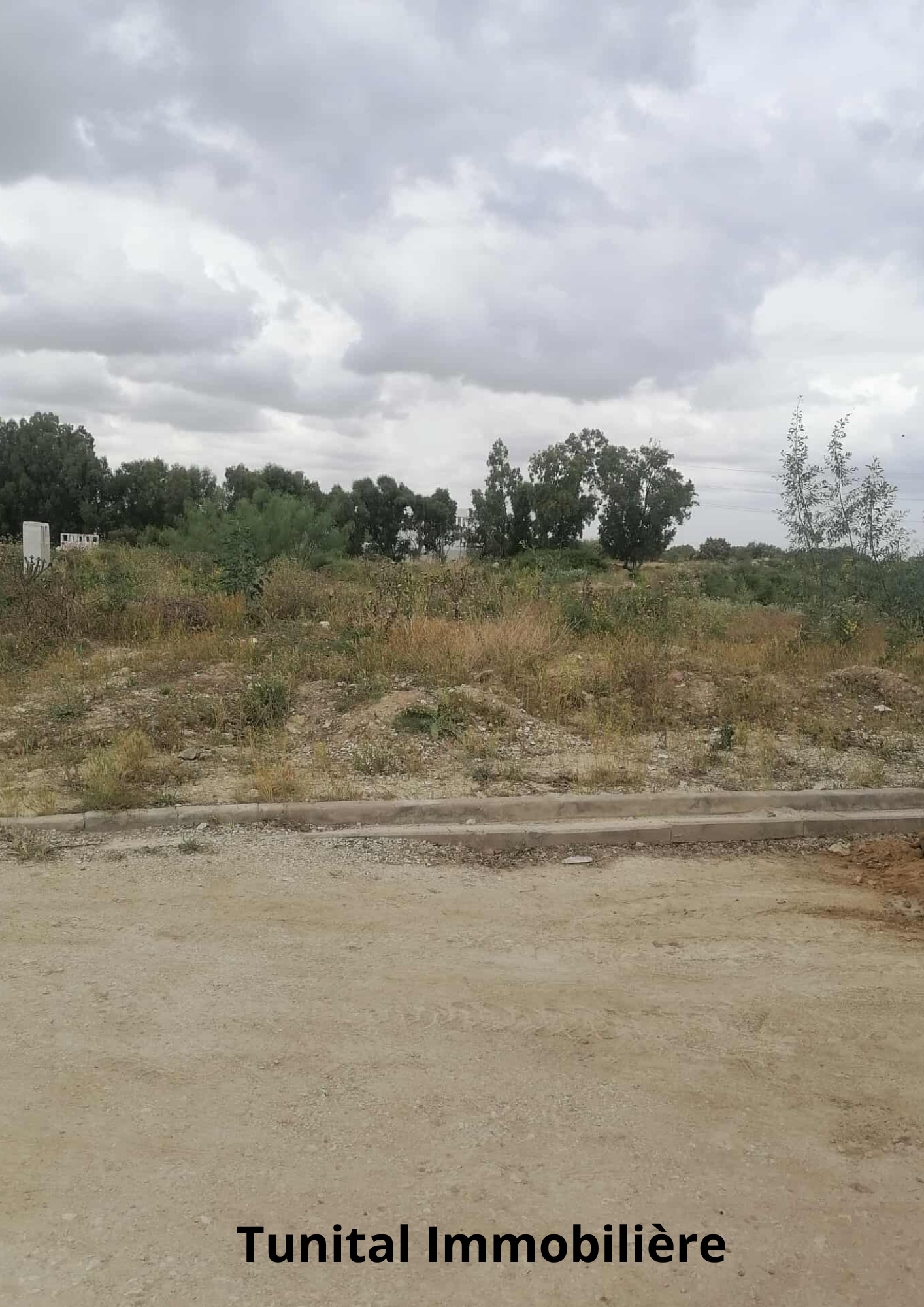 La Soukra&nbsp;Chotrana 3&nbsp;Terrain&nbsp;Terrain nu&nbsp;Terrain coltur� r plus deux