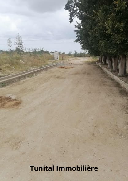 Terrain&nbsp;Terrain nu