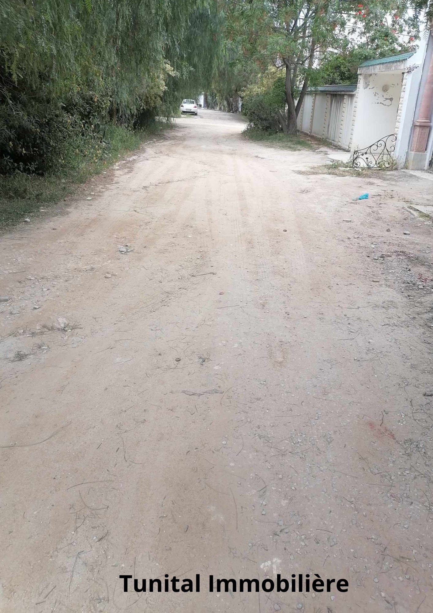 Location&nbsp;Surfaces