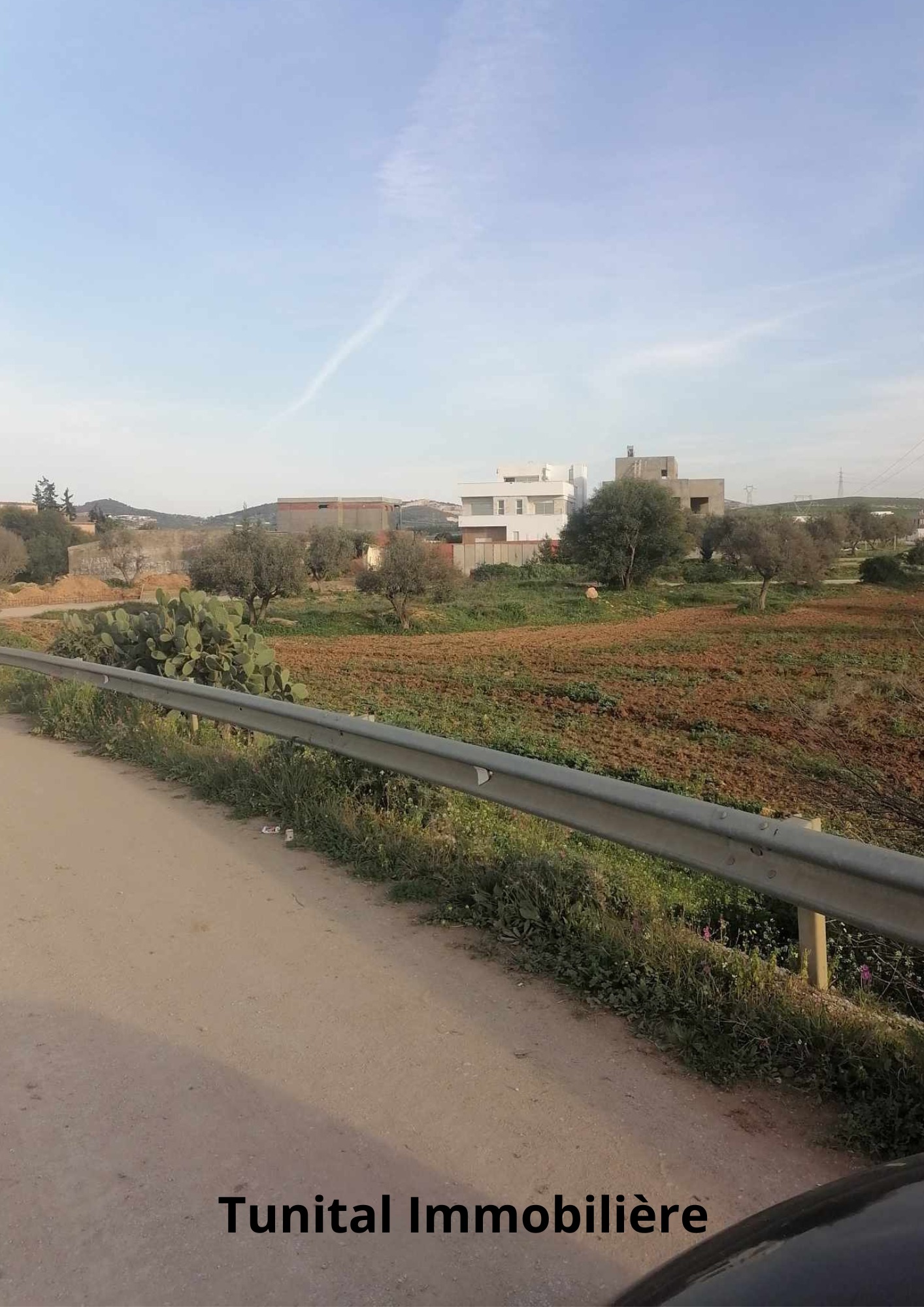 Bizerte Nord Bizerte Terrain Terrain nu Neuf lots de terrains