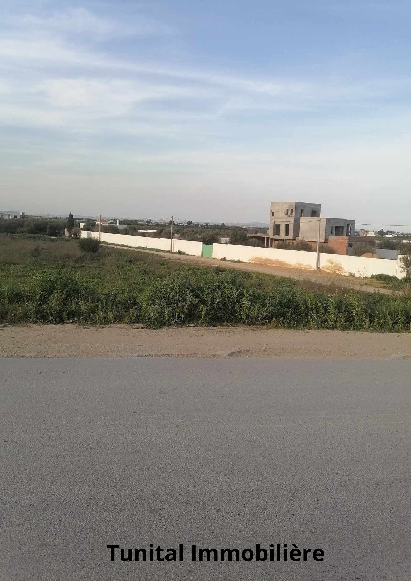 Bizerte Nord Bizerte Terrain Terrain nu Neuf lots de terrains