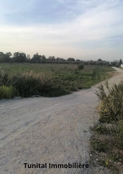 Bizerte Nord Bizerte Terrain Terrain nu Neuf lots de terrains