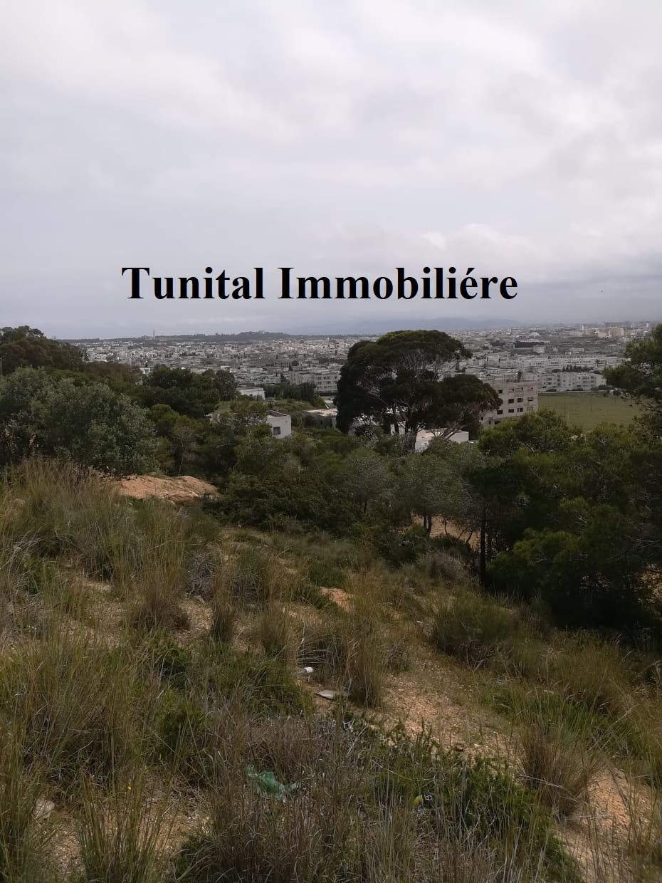 La Marsa&nbsp;Cite El Khalil&nbsp;Terrain&nbsp;Terrain nu&nbsp;Terrain vue panoramique