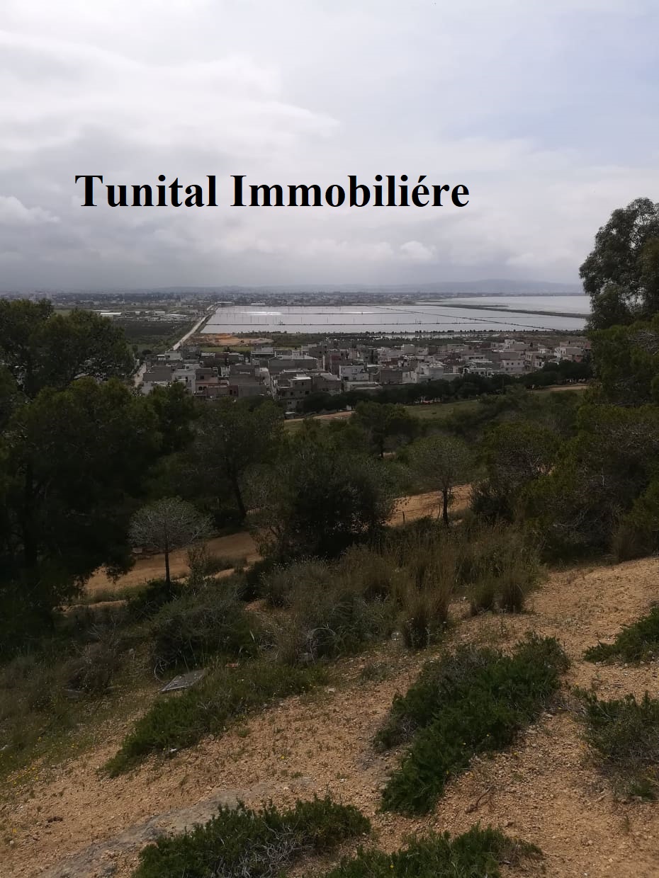 La Marsa&nbsp;Cite El Khalil&nbsp;Terrain&nbsp;Terrain nu&nbsp;Terrain vue panoramique