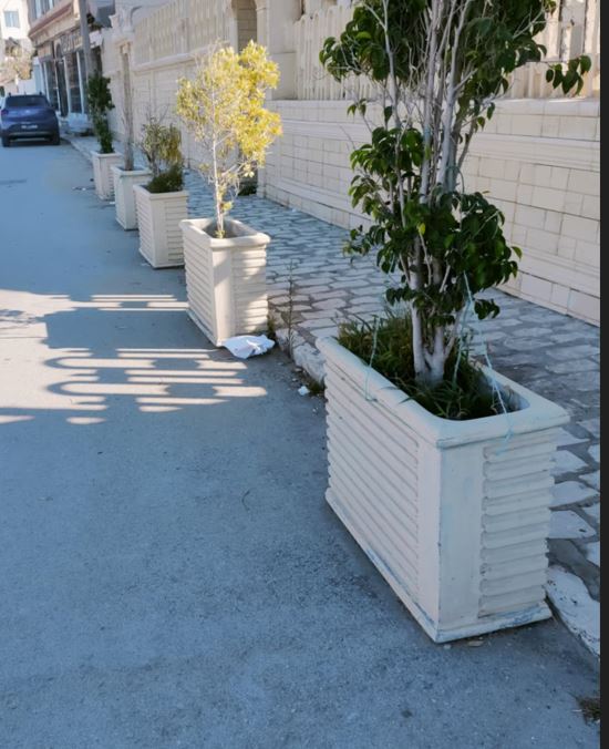 Hammam Lif Hammam Lif Meubles de jardin Cltures, Portails Porte aquarium et grand vase exterieure