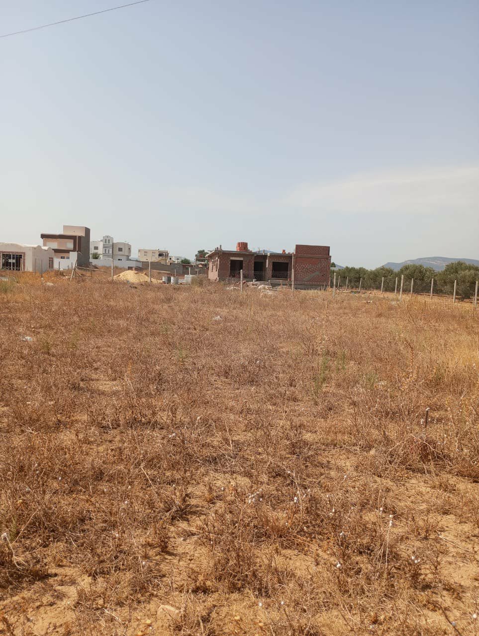 Hammamet&nbsp;Hammamet&nbsp;Terrain&nbsp;Terrain nu&nbsp;Av terrain 360m � monchar hammamet