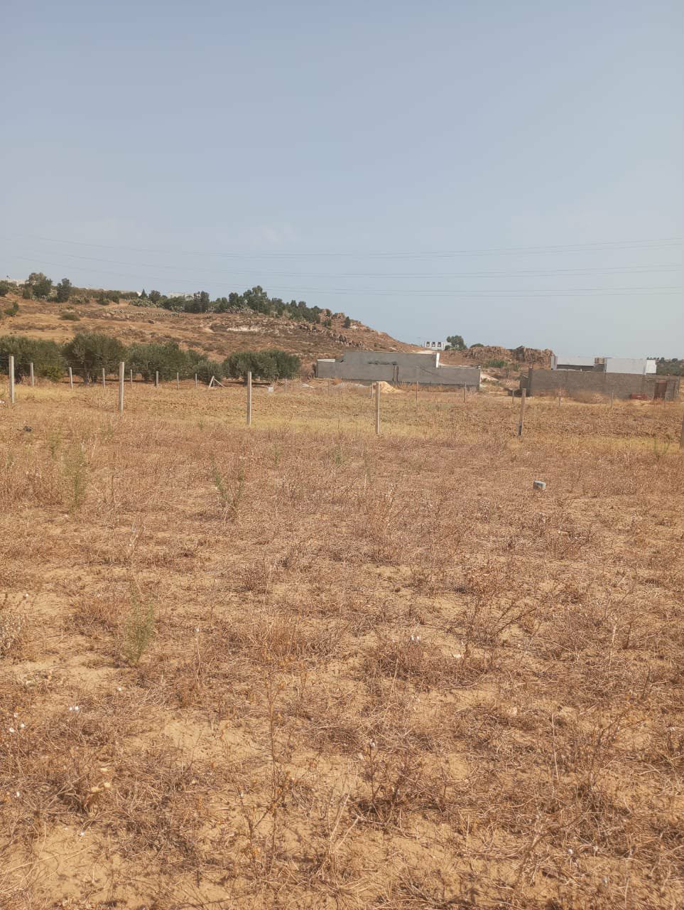 Hammamet&nbsp;Hammamet&nbsp;Terrain&nbsp;Terrain nu&nbsp;Av terrain 360m � monchar hammamet