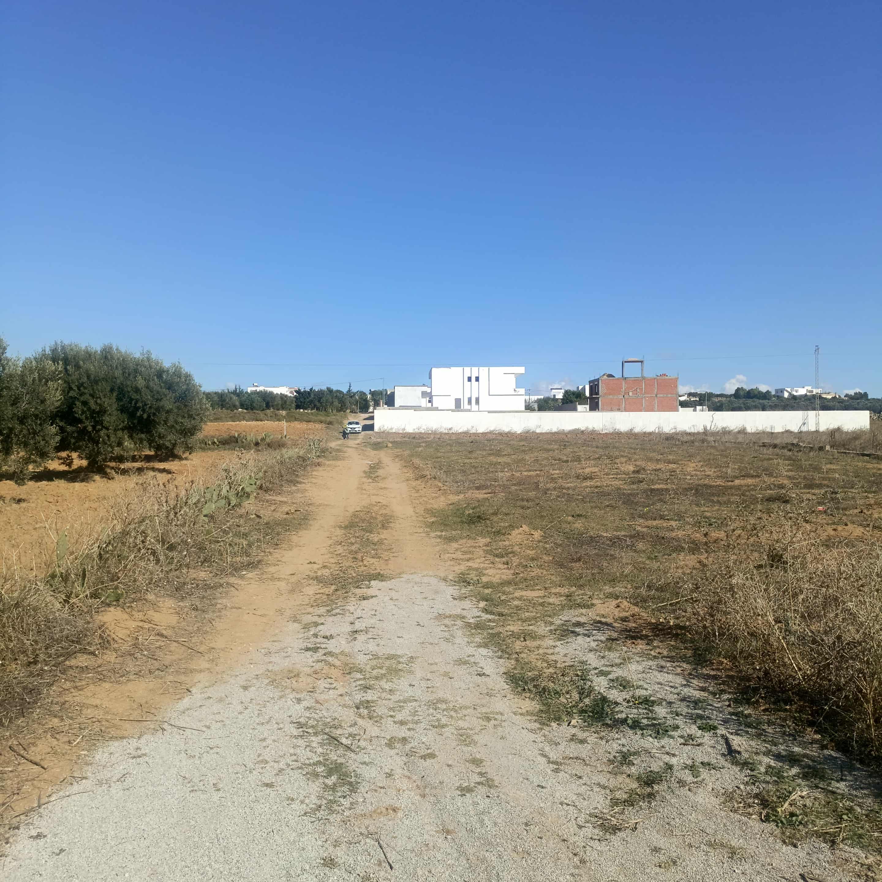 Hammamet&nbsp;Hammamet&nbsp;Terrain&nbsp;Terrain nu&nbsp;Av 400m monchar hammamet sud