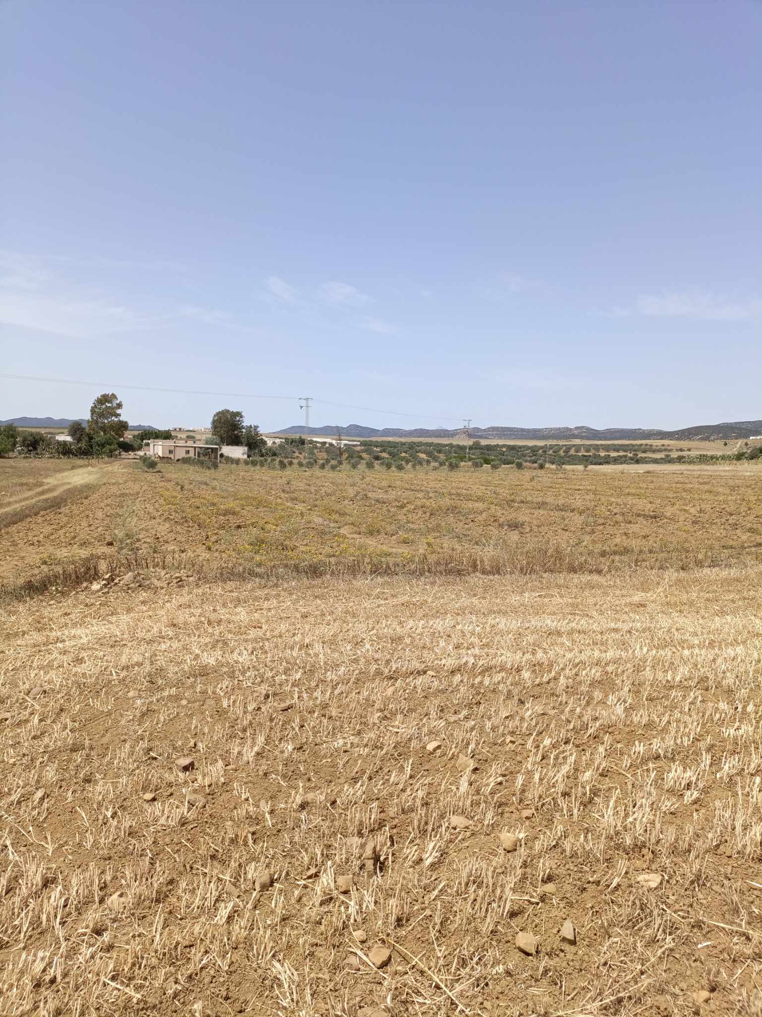 Terrain&nbsp;Terrain nu